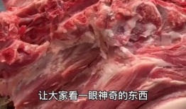 肉肉的视频,探寻地道风味，尽享味蕾盛宴